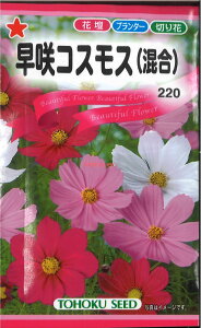 12{蔭@yszy5܂܂80~z seed  tane  q@RXX qq  푁RXXqq   seed  tane  qRXXq