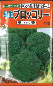 12{蔭@yszy5܂܂80~z seed  tane  q@ubR[Q qq ubR[ Jt[ ^X 푁ubR[Qqq ub