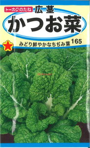 yszy5܂܂80~z seed  tane  q@Ls qq t  Ls؎qq t   seed  tane  qLs؎qq t   