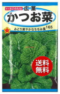 【代引不可】 【送料無料】seed たね tane 種 種子□広茎かつお菜 ◇種子種子 葉野菜 他 種広茎かつお菜…