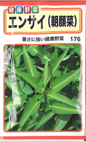 【代引不可】【送料5袋まで80円】◇ seed たね tane 種 種子 タネ □エンサイ朝顔菜■種子 葉野菜 他 種 種子 葉野菜 他 種 種子 葉野菜 他 種 種子 葉野菜 他 種 種子 葉野菜 他 種 種子 葉野菜 他 種 種子 葉野菜 他■