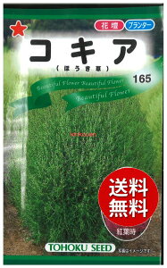 �y����s�z seed ���� tane �� ��q�@���R�L�A ����q��q �� ��R�L�A��q��q �� �� seed ���� tane �� ��q�R�L�A��q��q �� �� seed ���� tane �� ��q�R�L�A��q��q �� �� see