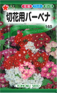 yszy5܂܂80~z ؉ԗpo[xi