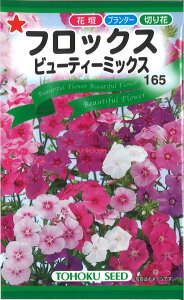 yszy5܂܂80~z seed  tane  q@tbNXr[eB-~bNX qq  tbNXr[eB-~bNXqq   seed  tane  qtbNXr