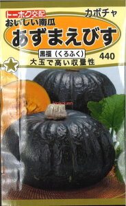 12{蔭@yszy5܂܂80~z seed  tane  q@Z܂т qq J{` 킨Z܂тqq J{`  seed