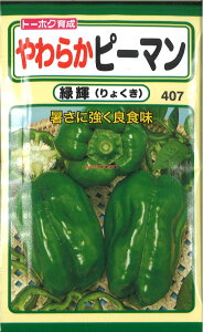 12{蔭@yszy5܂܂80~z seed  tane  q@炩s[}΋P qq s[} VVgE gEKV 炩s[}΋Pqq s[} V