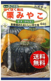 【代引不可】 seed たね tane 種 種子　□ほくほく南瓜栗みやこ甘太 ◇種子種子 カボチャ 種ほくほく南瓜栗みやこ甘太種子種子 カボチャ 種 seed たね tane 種 種子ほくほく南瓜栗みやこ甘太種子種子 カホ