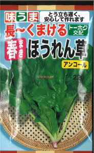 12{蔭@yszy5܂܂80~z seed  tane  q@`܂t܂ق񑐃AR[ qq zE\E 풷~܂t܂ق񑐃AR[