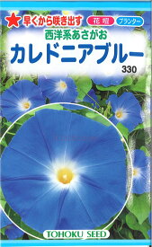 【代引不可】【送料5袋まで80円】◇ seed たね tane 種 種子 タネ □カレドニアブルー■花 種 花 種 花 種 花 種 花 種 花 種 花 種 花 種 花 種 花 種 花 種 花 種 花 種■花 種 花 種 花 種 花 種 花 種■