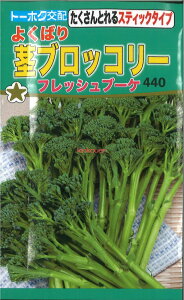 yszy5܂܂80~z seed  tane  q@悭΂subR[ tbVu[P qq ubR[ Jt[ ^X 悭΂subR[ tbV