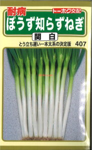 12{蔭@yszy5܂܂80~z seed  tane  q@ϕaڂm炸˂֔ qq lM ϕaڂm炸˂֔qq lM  seed  tane  q