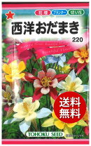 楽天市場】オダマキ 種（ガーデニング・農業｜花・ガーデン・DIY）の通販 新品この色のオダマキの種