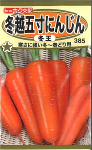 yszy5܂܂80~z seed  tane  q@~zܐɂ񂶂~ qq lQ ~zܐɂ񂶂~qq lQ  seed  tane  q~zܐɂ񂶂~q