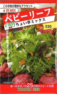 yszy5܂܂80~z seed  tane  q@xr[[t傢h~bNX xr[[t傢h~bNX seed  tane  qxr[[t傢h~bNX seed  tane 