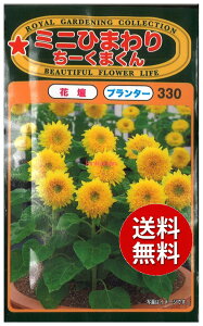 �y����s�z seed ���� tane �� ��q�@���~�j�Ђ܂�肿�[���܂��� ����q��q �� ��~�j�Ђ܂�肿�[���܂����q��q �� �� seed ���� tane �� ��q�~�j�Ђ܂�肿�[���܂����q��q �� �� see