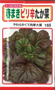 �y����s�z�y����5�܂܂�80�~�z seed ���� tane �� ��q�@���t�܂��s���h������ ����q��q �t��� �� ��t�܂��s���h�����؎�q��q �t��� �� �� seed ���� tane �� ��q�t�܂��s���h�����؎�