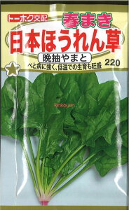 12{蔭@yszy5܂܂80~z seed  tane  q@t܂{ق񑐔Ӓ܂ qq zE\E t܂{ق񑐔Ӓ܂Ǝqq zE