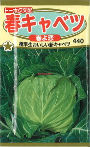 yszy5܂܂80~z seed  tane  q@tLxct qq Lxc tLxctqq Lxc  seed  tane  qtLxctqq 