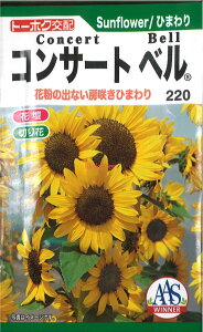 12{蔭@yszy5܂܂80~z seed  tane  q@Ђ܂RT[gx qq  Ђ܂RT[gxqq   seed  tane  qЂ܂