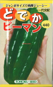 12{蔭@yszy5܂܂80~z seed  tane  q@ǂłs[} qq s[} VVgE gEKV ǂłs[}qq s[} VVgE gE