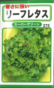 yszy5܂܂80~z seed  tane  q@ɋ[t^XX[p[O[ qq ubR[ Jt[ ^X 폋ɋ[t^XX[p[O