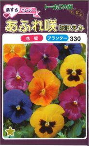 yszy5܂܂80~z seed  tane  q@pW[ӂقق qq  pW[ӂققݎqq   seed  tane  qp