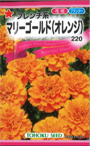 12{蔭@yszy5܂܂80~z seed  tane  q@t`n}[S[hIW qq  t`n}[S[hIWqq   seed 