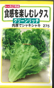 yszy5܂܂80~z seed  tane  q@Hyރ^XO[b` qq ubR[ Jt[ ^X Hyރ^XO[b`qq 