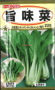 12{蔭@yszy5܂܂80~z seed  tane  q@| | seed  tane  q| seed  tane  q| seed  tane  q| |