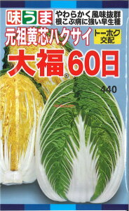 yszy5܂܂80~z ccnNTC 啟60