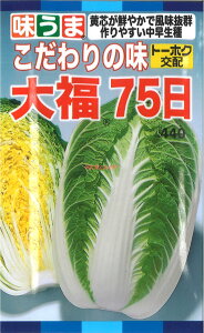 yszy5܂܂80~z seed  tane  q@̖啟75 qq nNTC 킱̖啟75qq nNTC  seed  tane  q̖啟75