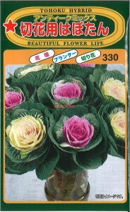 yszy5܂܂80~z AeB[N~bNX ؉ԗp͂ڂ