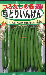 12{蔭@yszy5܂܂80~z seed  tane  q@Ȃǂ肢񂰂 Ȃǂ肢񂰂 seed  tane  qȂǂ肢񂰂 s