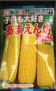 12{蔭@yszy5܂܂80~z seed  tane  q@܂VC ܂VC seed  tane  q܂VC seed  tane  q