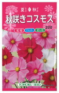 【代引不可】【送料10袋まで80円】 seed たね tane 種 種子　□秋咲きコスモス ◇種子種子 花 種秋咲きコ…