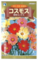 【代引不可】【送料10袋まで80円】 seed たね tane 種 種子　□コスモス初恋ミックス ◇種子種子 花 種種…