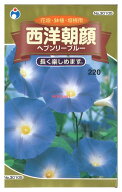 【代引不可】【送料10袋まで80円】 seed たね tane 種 種子　□西洋朝顔ヘブンリーブルー ◇種子種子 花 …