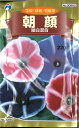 【代引不可】【送料5袋まで80円】 seed たね tane 種 種子　□朝顔曜白混合 ◇種子種子 花 種朝顔曜白混合種子種子 花 種 seed たね tane 種 種子朝顔曜白混合種子種子 花 種 seed たね tane 種 種子朝顔曜白混合