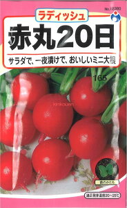 yszy5܂܂80~z seed  tane  q@Ԋ20卪 qq 卪 Ju q E^lԊ20卪qq 卪 Ju q E^l seed  tane  qԊ20卪