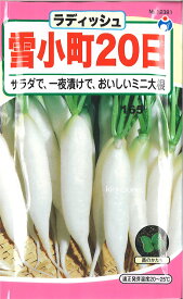 楽天市場 二十日大根 ラディッシュ 収穫時期通年 の通販