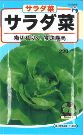 【代引不可】【送料5袋まで80円】◇ seed たね tane 種 種子 タネ □サラダ菜■種子 葉野菜 他 種種子 ウタネ 種子 葉野菜 他 種種子 ウタネ 種子 葉野菜 他 種種子 ウタネ 種子 葉野菜 他 種種子 ウタネ 種子 葉野菜 他■