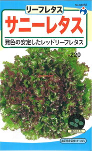 yszy5܂܂80~z Tj[^X