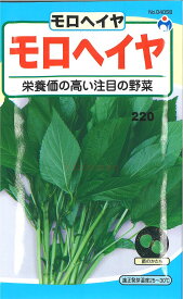 【代引不可】【送料5袋まで80円】◇ seed たね tane 種 種子 タネ □モロヘイヤ■種子 葉野菜 他 種種子 ウタネ 種子 葉野菜 他 種種子 ウタネ 種子 葉野菜 他 種種子 ウタネ 種子 葉野菜 他 種種子 ウタネ 種子 葉野菜 他■