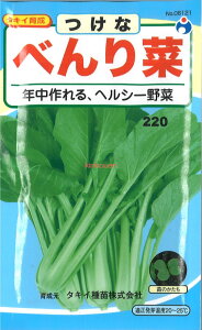 yszy5܂܂80~z  ׂ