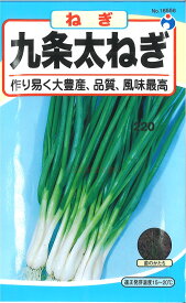 【代引不可】【送料5袋まで80円】◇ seed たね tane 種 種子 タネ □九条太ねぎ■種子 ウタネ 種子 ウタネ 種子 ウタネ 種子 ウタネ 種子 ウタネ 種子 ウタネ 種子 ウタネ 種子 ウタネ 種子 ウタネ 種子 ウタネ 種子 ウタネ■