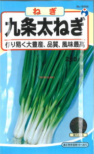 yszy5܂܂80~z seed  tane  q@𑾂˂ qq lM q E^l𑾂˂qq lM q E^l seed  tane  q𑾂˂qq lM 