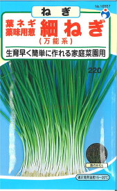 【代引不可】【送料5袋まで80円】◇ seed たね tane 種 種子 タネ □細ねぎ■種子 ウタネ 種子 ウタネ 種子 ウタネ 種子 ウタネ 種子 ウタネ 種子 ウタネ 種子 ウタネ 種子 ウタネ 種子 ウタネ 種子 ウタネ 種子 ウタネ 種子