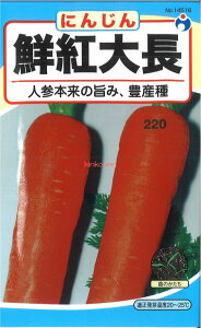 yszy5܂܂80~z seed  tane  q@Ng咷ɂ񂶂 qq lQ q E^lNg咷ɂ񂶂qq lQ q E^l seed  tane  qNg咷ɂ