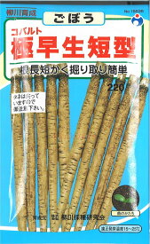 【代引不可】【送料5袋まで80円】 □コバルト極早生短型ごぼう