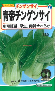 yszy5܂܂80~z seed  tane  q@`QTC qq t  q E^l`QTCqq t  q E^l seed  tane  q